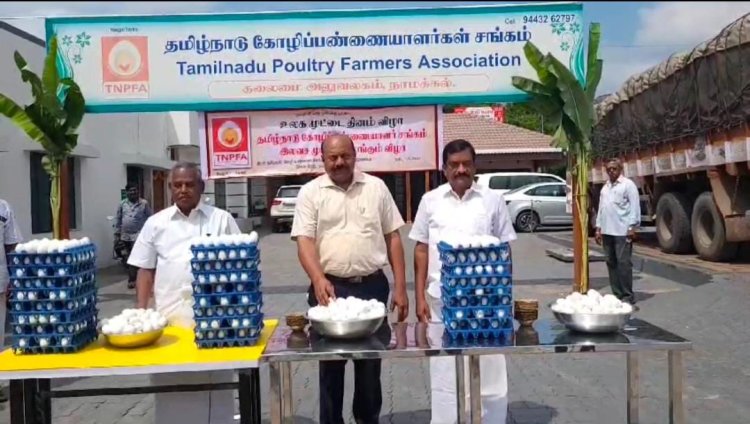 10 ஆயிரம் வேக வைத்த முட்டைகள் இலவசமா?